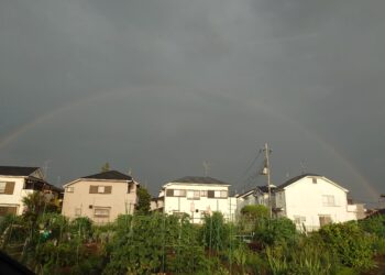 今年も今日で半分が終わりですね