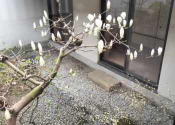 春季彼岸法要の日は・・・