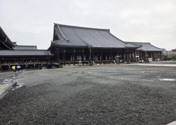 来年１月の御正忌報恩講に向け本山へ行ってきました